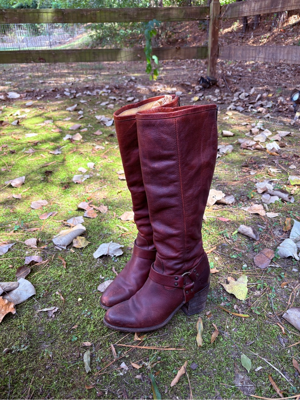 Frye knee high boots